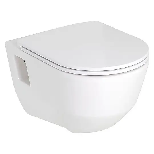 Günstig Combi-Pack Laufen PRO Wand-Tiefspül-WC, spülrandlos, mit offenen Befestigungsnischen & WC-Sitz Softclose, abnehmbar - H8669540000001