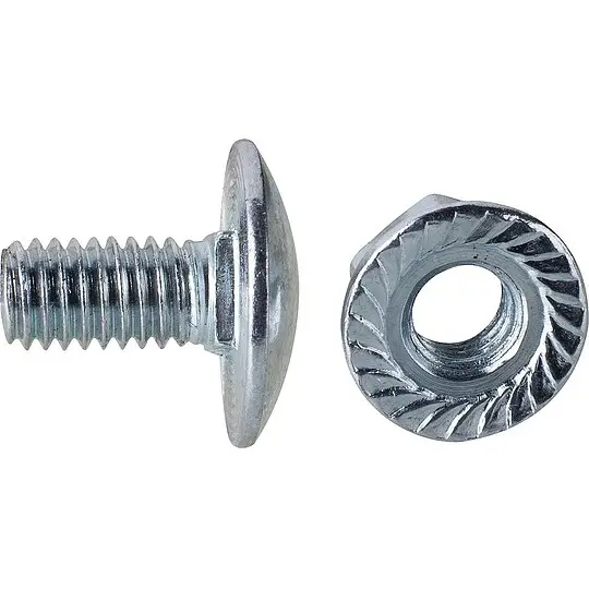 Flachrundschrauben 100 Stück - M6 x 12 mm Echt