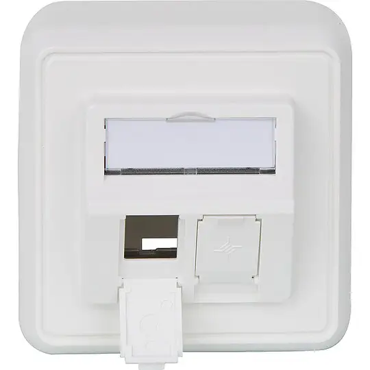 Schneller Versand Modul-Aufnahme aufbauend, 2-fach AP alpinweiß - 80 x 80 x 52,3 mm