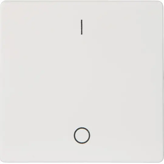 Direktkauf Wippe m. Symbolen I/0 titanweiß/ 55 mm x 55 mm Schutzart IP20