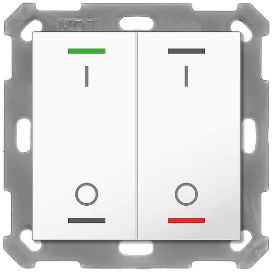 Solange Der Vorrat Reicht Taster Light 55 2-fach, RGBW, mit Temperatursensor, Reinweiß glänzend, Schalten