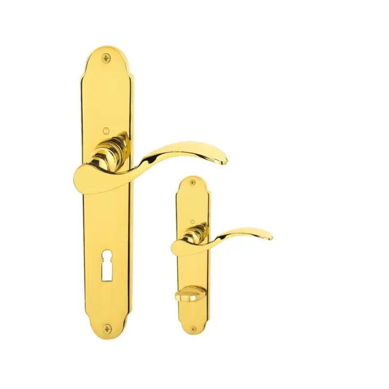 Hoppe Türdrücker Caracas BB WC Messing poliert F71 Türgriff Türklinke Türbeschlag Online Kaufen