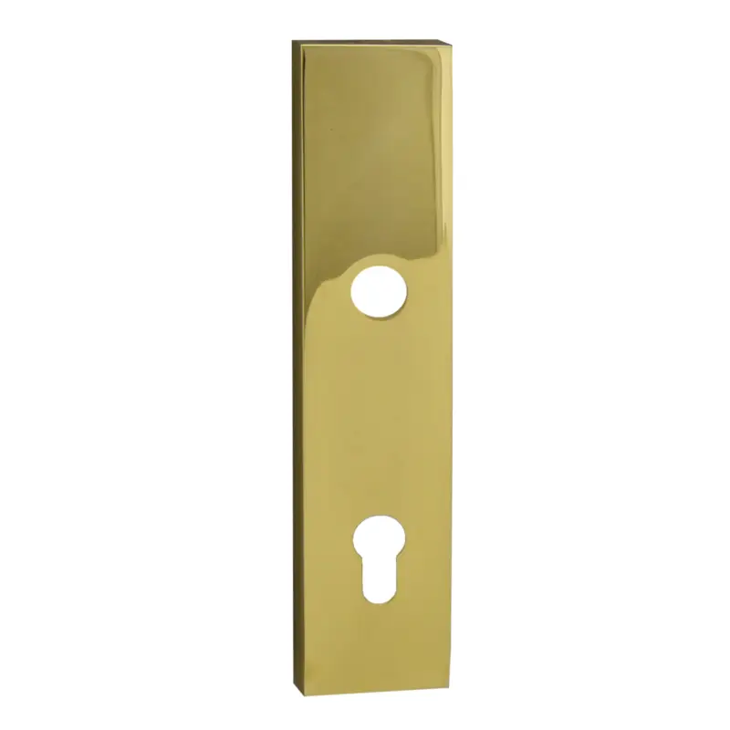 Sicherheitstürschild Außen, Dist. 92 mm PZ, Messing glänzend L x B x T: 245 x 54 x 12 mm Direkt Vom Hersteller