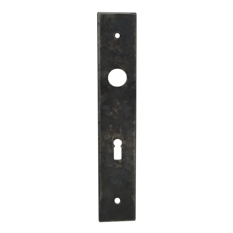 Zimmertürschild Dist. 72 mm BB, L x B: 225x40 mm der Serie TS153 Aktuell